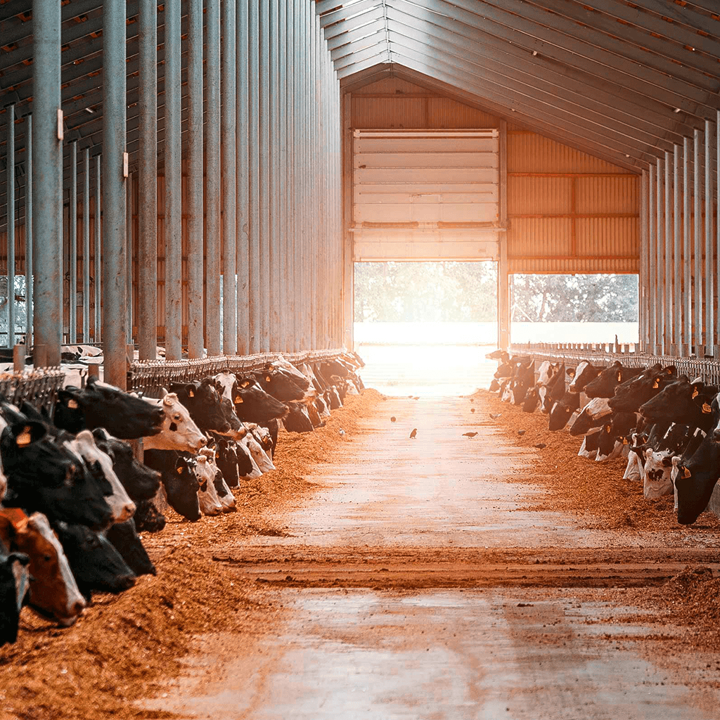 Hof mit Stall und PV